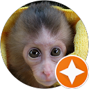 キングスペシャル