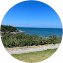 ひかり ひかり