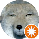 ギッシュ ギッシュ